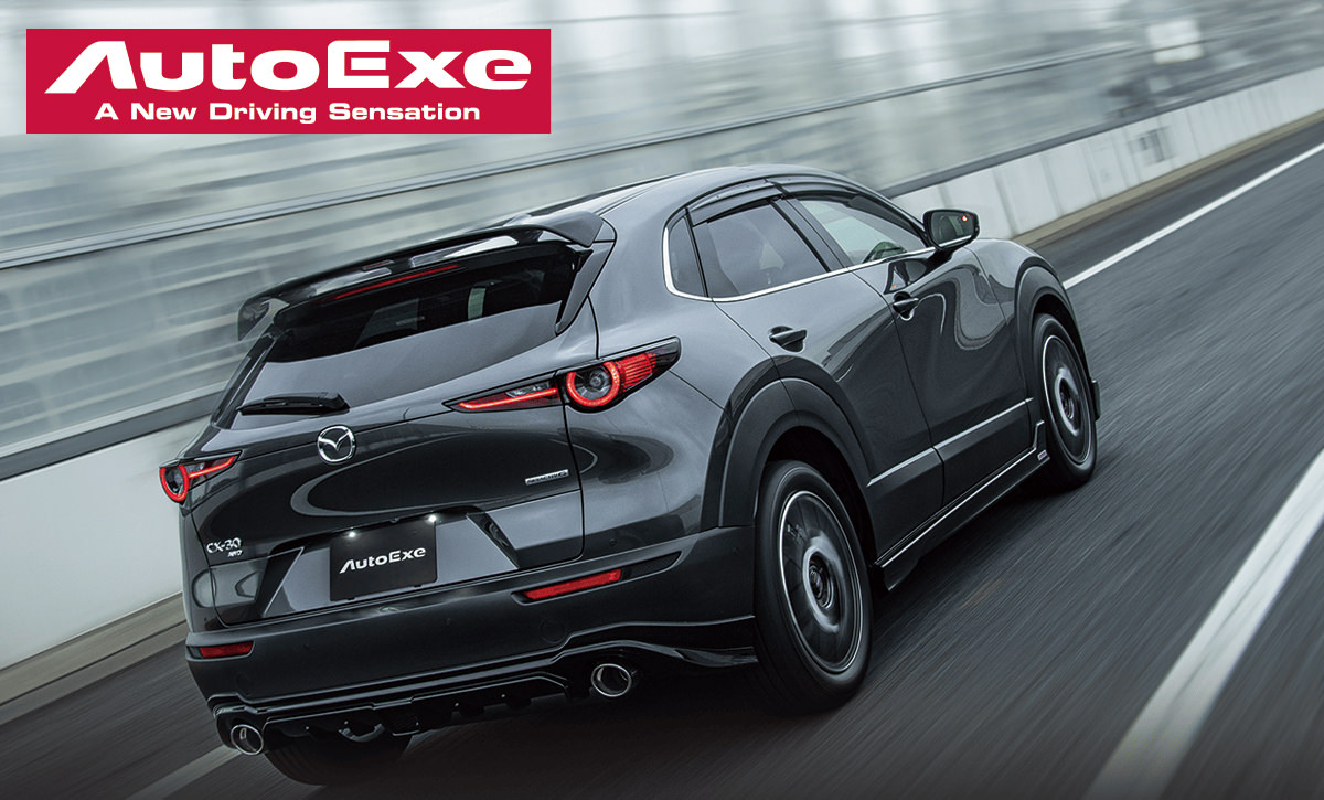 AutoExeカスタマイズ仕様車