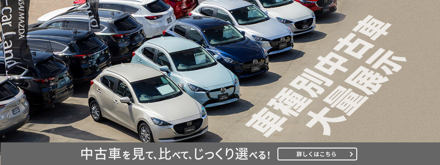 中古車大量展示